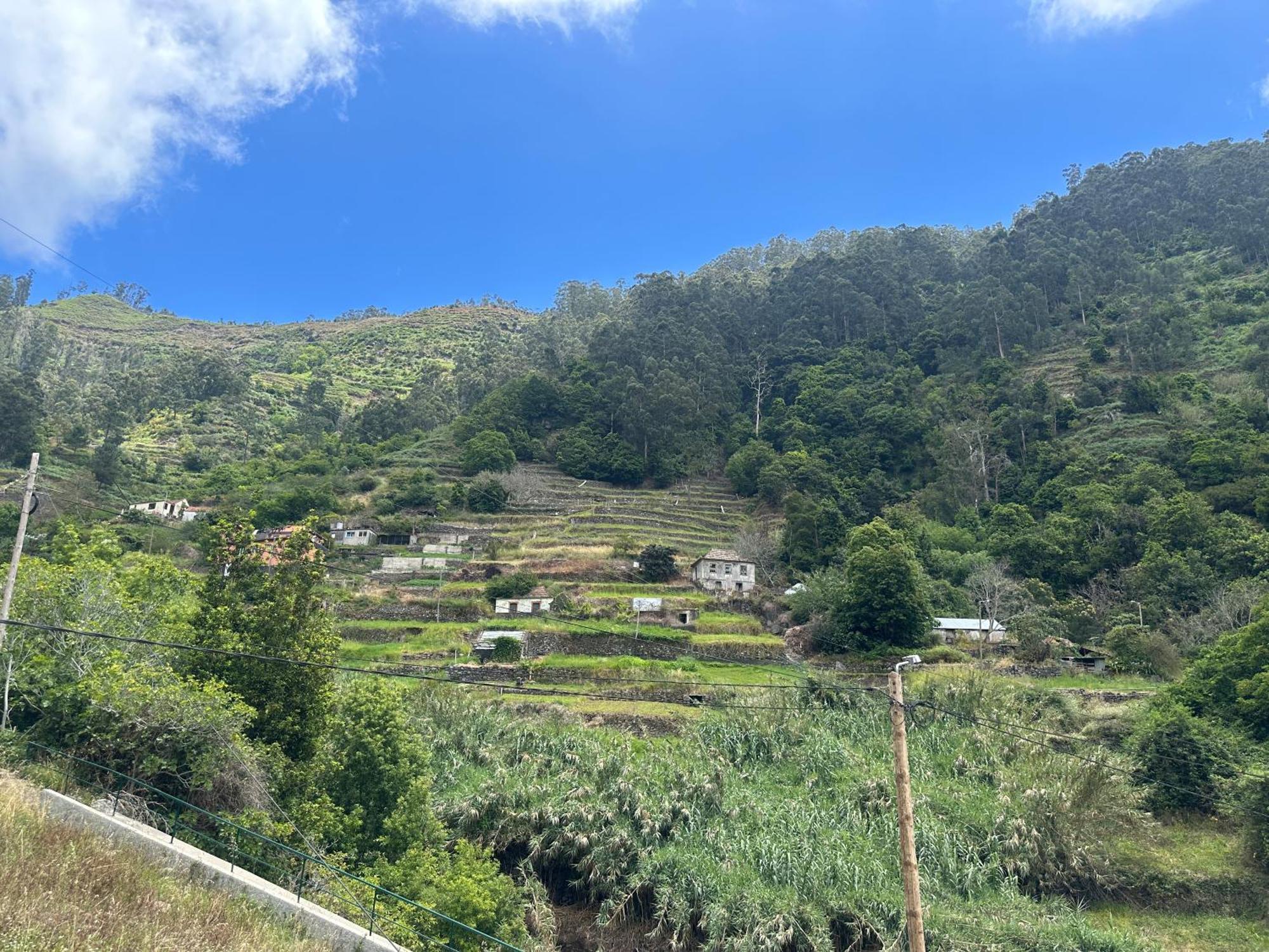 Villa Casa Rosa Ribeira Brava Exterior foto